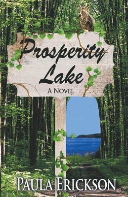 Paula Erickson - Prosperity Lake, Häftad