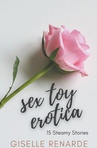 bokomslag Sex Toy Erotica