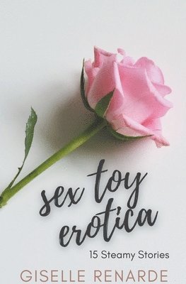 bokomslag Sex Toy Erotica