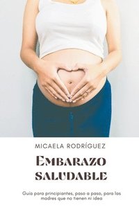 bokomslag Embarazo saludable