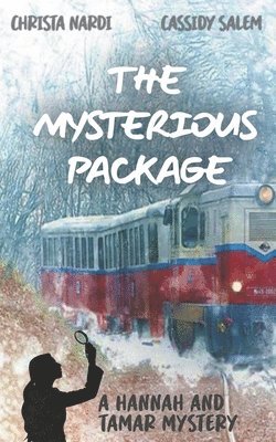 bokomslag The Mysterious Package