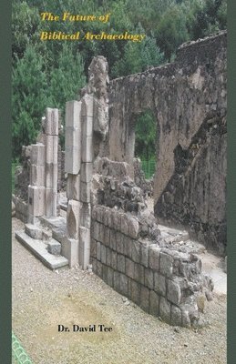 David Tee, Dr. David Tee - Future of Biblical Archaeology, Häftad