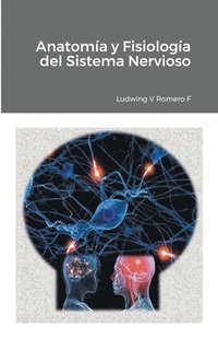 bokomslag Anatomia y Fisiologa del Sistema Nervioso II