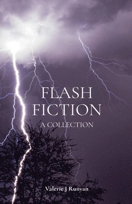 bokomslag Flash Fiction