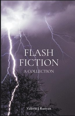 Flash Fiction 1