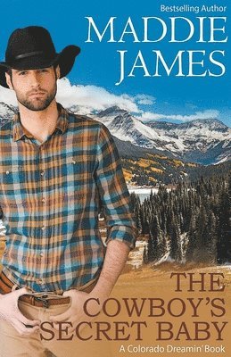 Cowboy's Secret Baby
