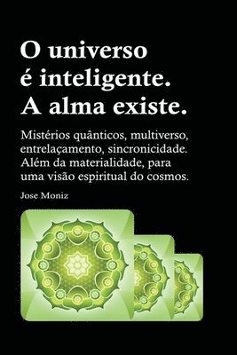 bokomslag O universo  inteligente. A alma existe. Mistrios qunticos, multiverso, entrelaamento, sincronicidade. Alm da materialidade, para uma viso espiritual do cosmos.