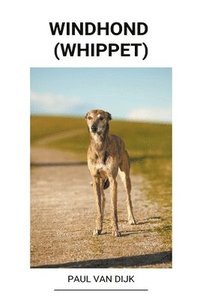 bokomslag Windhond (Whippet)