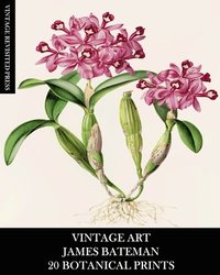 bokomslag Vintage Art