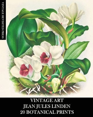bokomslag Vintage Art