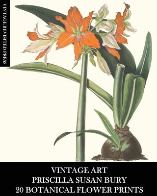 bokomslag Vintage Art