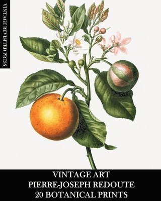 bokomslag Vintage Art