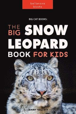 bokomslag Snow Leopards