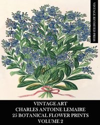 bokomslag Vintage Art