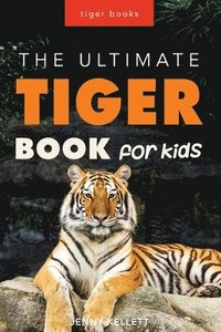 bokomslag Tigers
