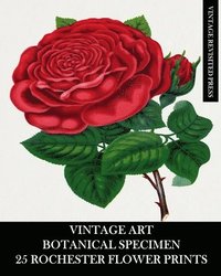 bokomslag Vintage Art