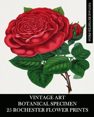 bokomslag Vintage Art