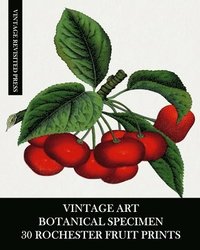 bokomslag Vintage Art