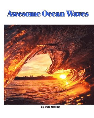 bokomslag Awesome Ocean Waves