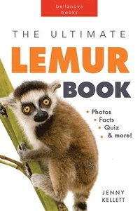 bokomslag Lemurs