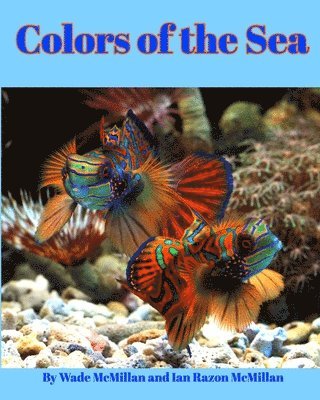 Colors of the Sea 1