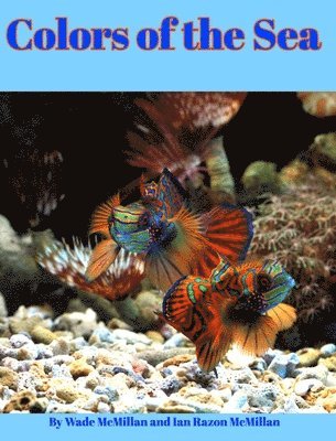 Colors of the Sea 1