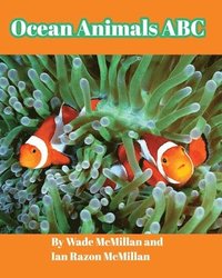 bokomslag Ocean Animals ABC
