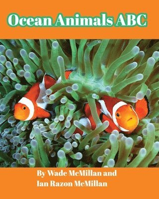 Ocean Animals ABC 1