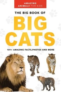 bokomslag Big Book of Big Cats