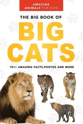 bokomslag Big Book of Big Cats