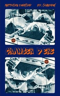 bokomslag Changer d'ère