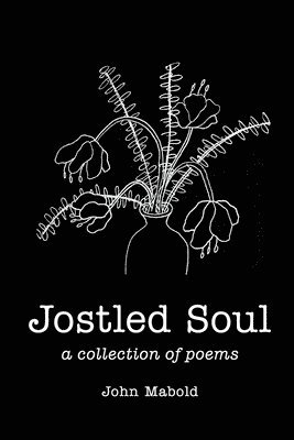 bokomslag Jostled Soul