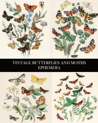 bokomslag Vintage Butterflies and Moths Ephemera