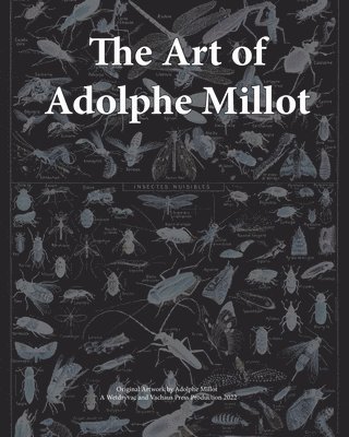 bokomslag Art of Adolphe Millot