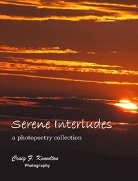 bokomslag Serene Interludes
