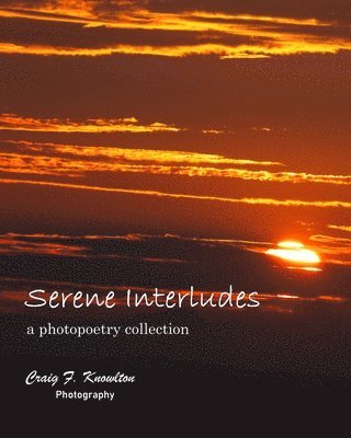 bokomslag Serene Interludes
