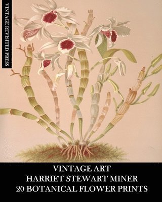 bokomslag Vintage Art