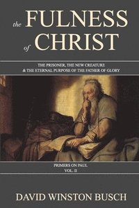 bokomslag Fulness of Christ