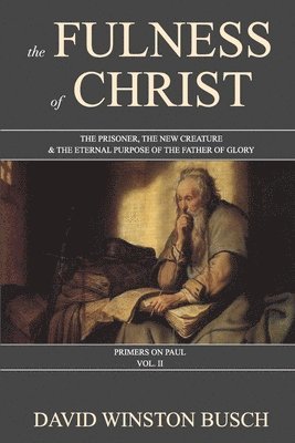 bokomslag Fulness of Christ