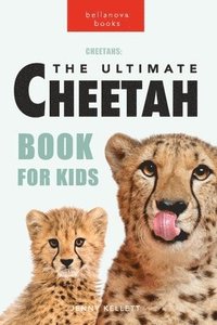 bokomslag Cheetahs