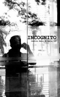 bokomslag Incognito