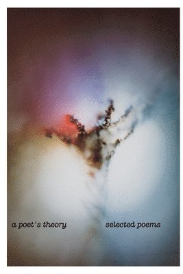 bokomslag Selected Poems Volume One.