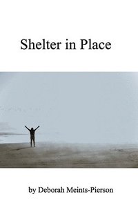 bokomslag Shelter in Place