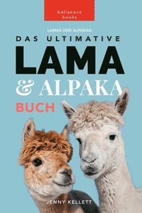 bokomslag Lamas und Alpakas