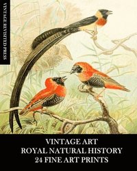 bokomslag Vintage Art