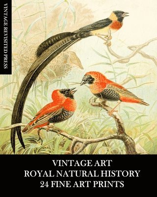 bokomslag Vintage Art