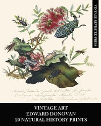 bokomslag Vintage Art
