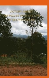 bokomslag Victory Amidst Obstacles With The Life Of Belinda Maere