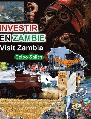 INVESTIR EN ZAMBIE - Visit Zambia - Celso Salles 1