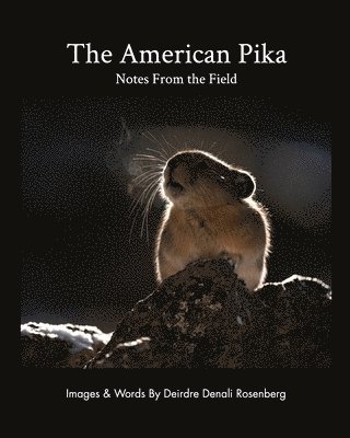 bokomslag American Pika